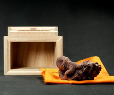 Thai artist Kob made Bonsai pot Brown Engraved Octpus MAME Boxed w1.9" *71