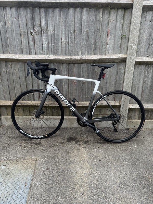 Carbon Ribble Endurance SL Disc 2021 - XL Frame - Shimano 105 - Great Condition