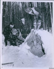 1955 Photo Michigan Hunters Covering Up Cave Of Hibernating Bear Animals 7X9
