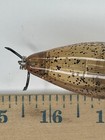 Vtg Bomber Fat A Crank Bait Fishing Lure Clear PKSD — photo 8