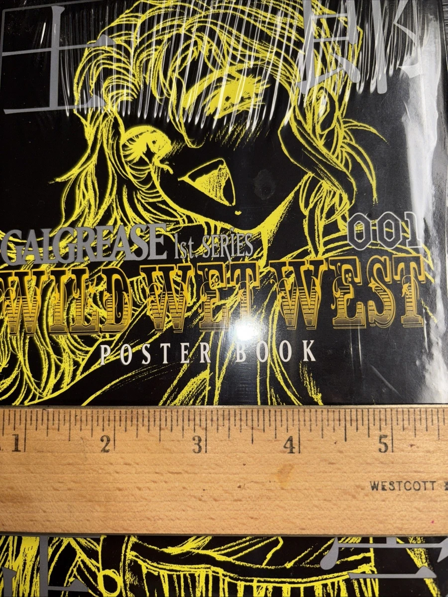 Wild Wet West for sale | eBay