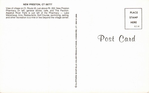 NUEVO PRESTON, CT. POSTAL Escena callejera, Farmacia, El Pabellón, Tiendas Generales - Imagen 2 de 2