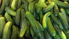 100 Addis Cucumber Seeds -- Heirloom -- NON GMO