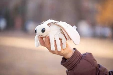 Lifelike Moth Plush Toy,Cute Poodle Moth Stuffed Animal, Insect Model Toy, 7 Inc