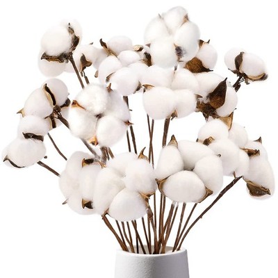 DomeStar Cotton Stems 8 Packs with 15 Bolls, Natural Dried Flowers White