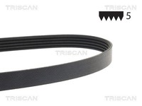 Triscan Keilrippenriemen 8640 500778 FüR Alfa Fiat 106 Saxo 1A Nissan Panda 500