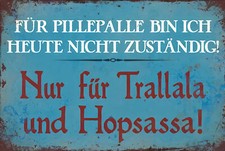 Targa in latta PILLEPALLE 30 x 20 cm targa in metallo vintage nostalgia retrò (0004805)