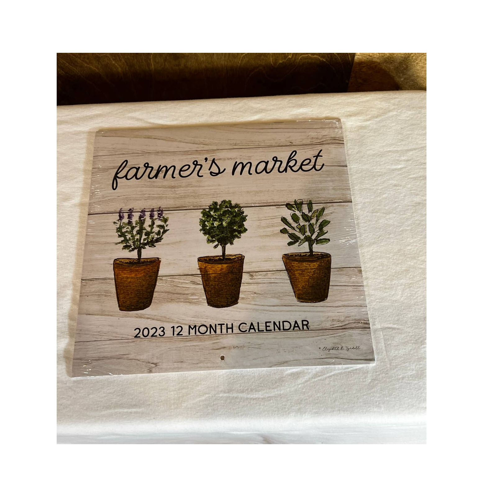 Dollar Tree 2023 Calendars | eBay
