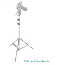 Neewer Stainless Steel Light Stand Silver, 79 inches/200 Centimeters