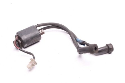 Dorman Connettore Bobina Di Accensione 645-584 - Ricambio Auto 2 Fili AWG 20 - 3