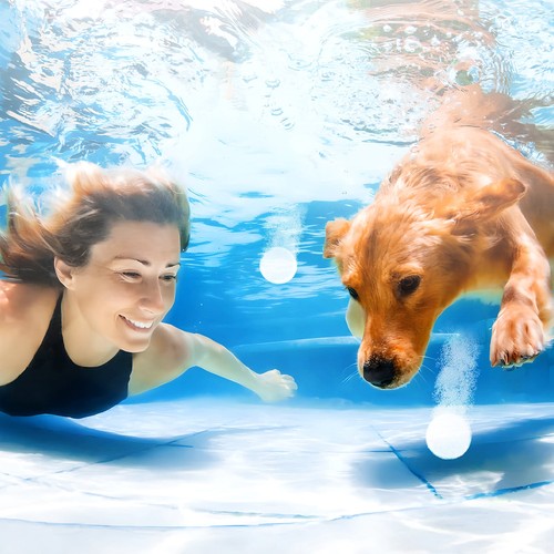 Clarificadores y estabilizadores de piscinas de 3" (40 lb) - Imagen 6 de 6