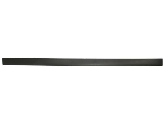 Left Front BLIC 5703-04-5097571P Trim/Protection Strip, wing for OPEL