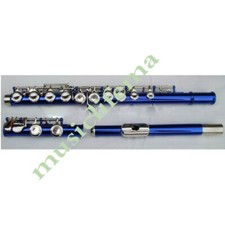 Funion Blue Flute Set 16 Hole Colourful C Key Flute With Case Care Kit