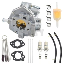 Carburetor Carb for Briggs & Stratton 303442 303445 303446 303447 Engine 845906