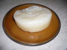 Kombucha Pilz mit Erfolgsgarantie! Scoby
