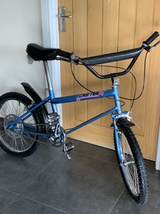 ebay raleigh grifter