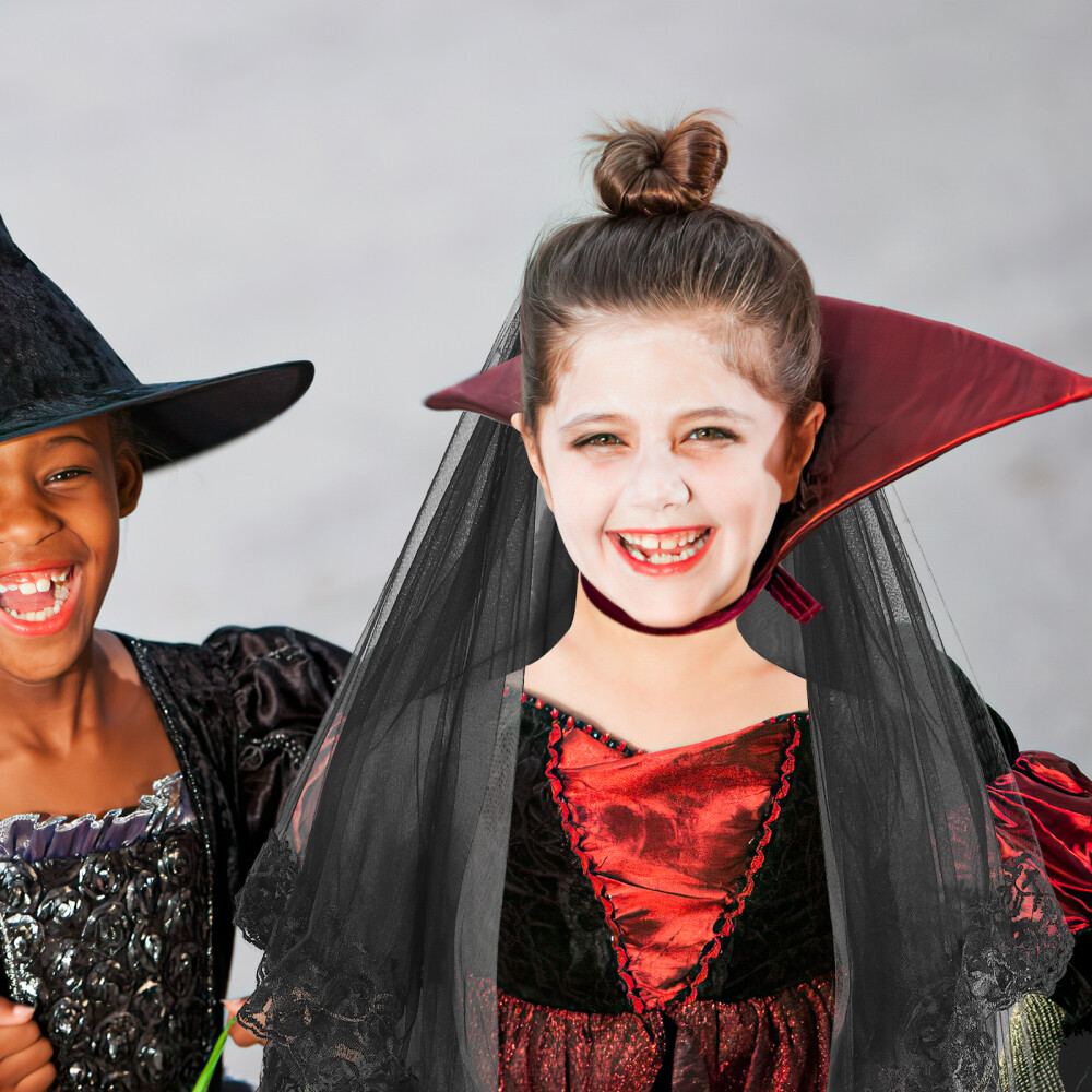 Vintage Wedding Veil Tulle Bridal Veils Black Wedding Veil Lace Bridal