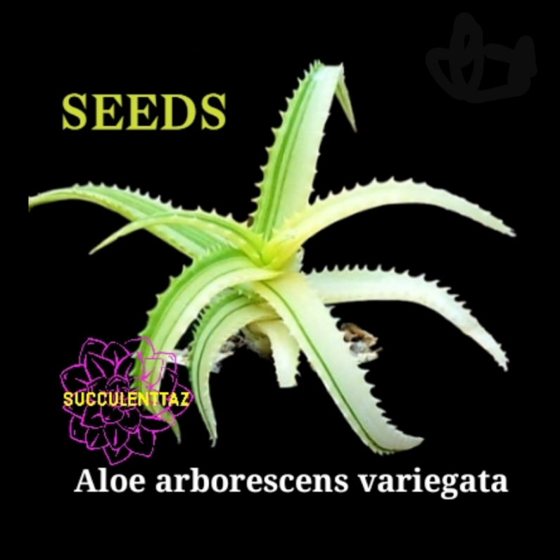 aloe vera herbalife drink Shakes | Vitamins | Protein | Weight Loss Drinks | Health | Skin main image 1