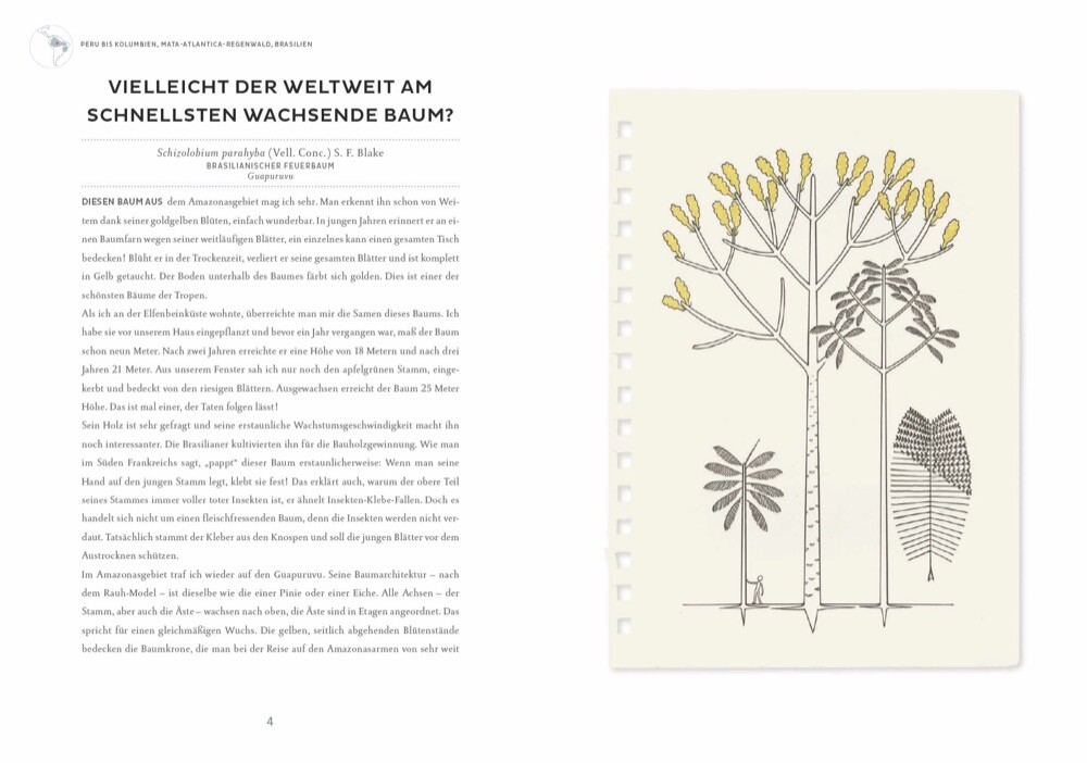 Thumbnail - Atlas Der Phantastischen Pflanzen Francis Hallé 9783954162932