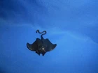 1988 GI JOE ARAH HYDRO VIPER DEVIL RAY MANTA PART ACCESSORY