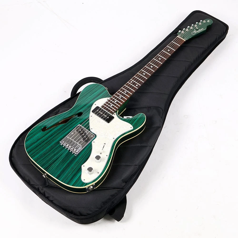 Las mejores ofertas en Guitarras eléctricas Schecter verde sólido