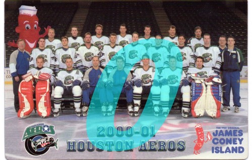 INTERNATIONAL HOCKEY LEAGUE TEAM PHOTOS ( YOU PICK FROM LIST) REPRINT - Picture 136 of 145