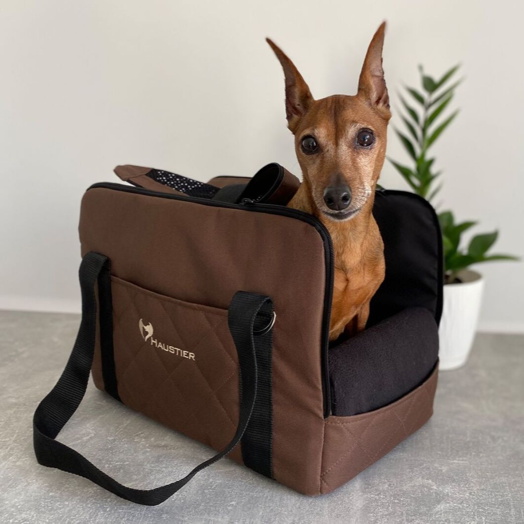 Small Pet Carrier Dog Travel Box Stylish Puppy Carry Bag Airline