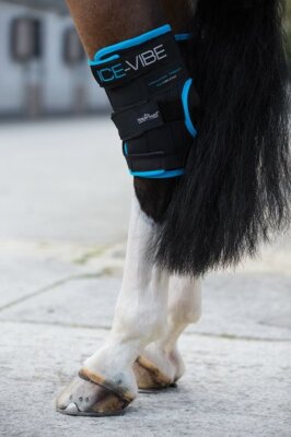 Horseware Ice-Vibe Hock Wrap Sprunggelenk black/aqua Full Vibration