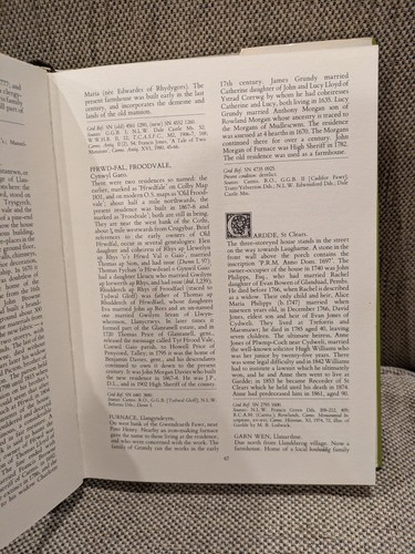 SCARCE Historic Carmarthenshire Homes and their Families Francis Jones 1989 HCDJ - Picture 12 of 18