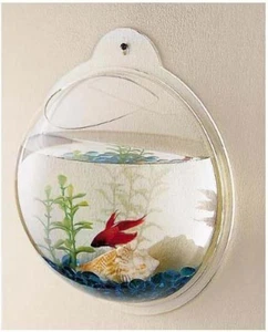 Beta Wall Mounted Acrylic Fish Bowl, 11.5-Inch