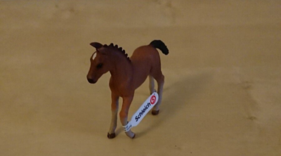 SCHLEICH Hannoveraner Fohlen – Detailgetreue Spielzeugfigur Für Pferdefans Ab 5 Jahren