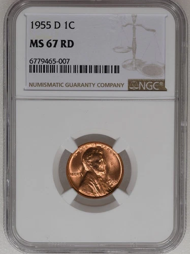 1955 D Lincoln Wheat Cent MS 67 RD NGC