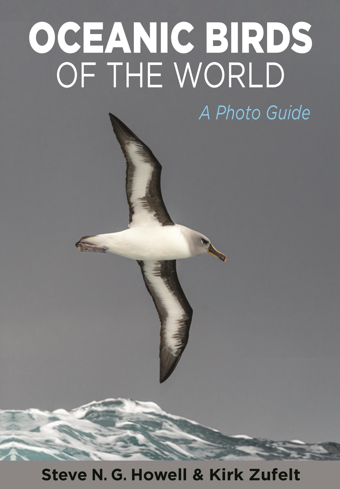 Thumbnail - Oceanic Birds Of The World Steve N. G. Howell