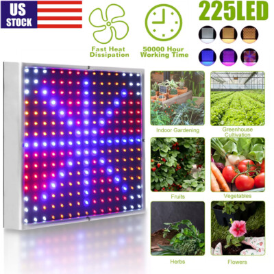 8500W LED Grow Light Panel Full Spectrum Lamp for Indoor Plant Veg ...