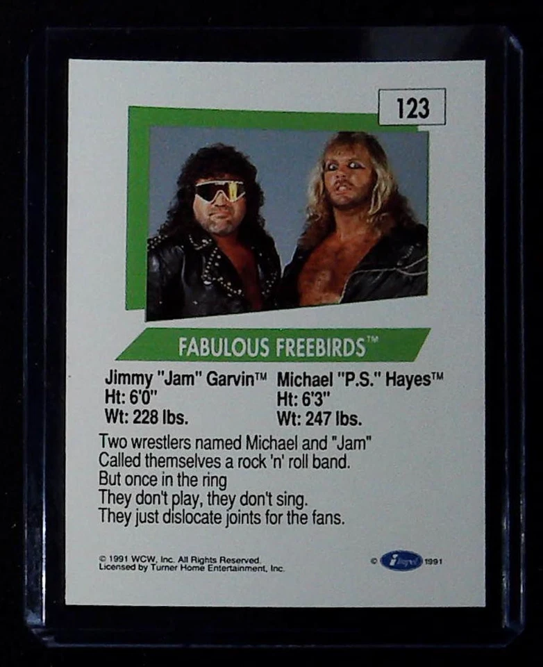 1991 Impel WCW #123 Fabulous Freebirds - Image 2 of 2