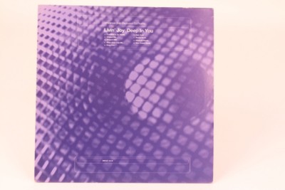 Universal Club Exclusive DJ Promo Livin`Joy Deep in you Vinyl Schallplatte 