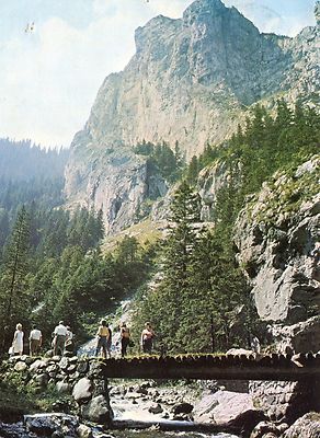 Old Postcard - Tatry Zachodnie - Dolina Koscieliska