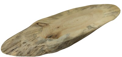 Oval Holzscheibe ohne Rinde geschliffen, B. 28 cm; L. 92 cm; H. 4,5 cm/ 143640