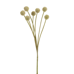 Details about Artificial Australian Native Craspedia Billy Button Flower  Spray - Cream Style 12
