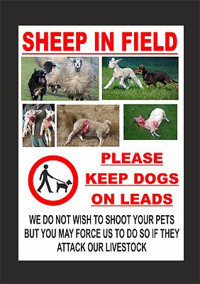 keep dogs on lead