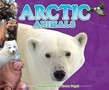 Arctic Animals Fun Facts for Kids - Hardcover By Kidsbooks - GOOD