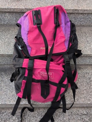 Vintage Karrimor Jaguar F52 Trekkingrucksack 90er Pink/Lila Top Zustand