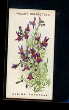 Will's Cigarettes Alpine Toadflax A series of 50 Alpine Flowers #20
