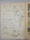 Foto 2 di 6