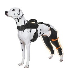 Furtent Dog Knee ACL Brace for Pets large