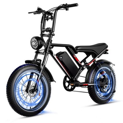 20'' Adult E-Bike 1000W Motor Max 50km/h Mountain Elektrofahrrad Full Suspension