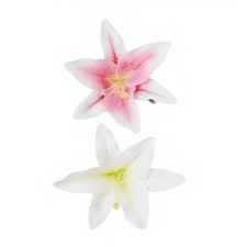 2 Packs Lily Flower Hair Clips for Women 2 Count Pack of 1 , pink, white