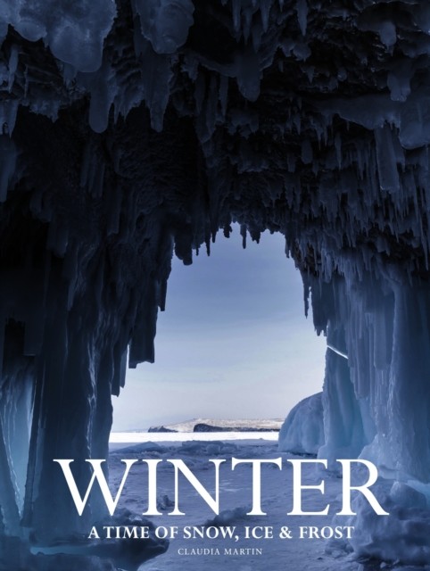 Winter - Image 6