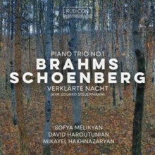 Sofya Melikyan - Brahms Piano Trio No. 1 - Schoenberg Verklar - Cd - G1398Z-image