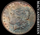 1881 Silver Morgan Dollar - Choice Gem Brilliant Uncirculated  Color  #J9627